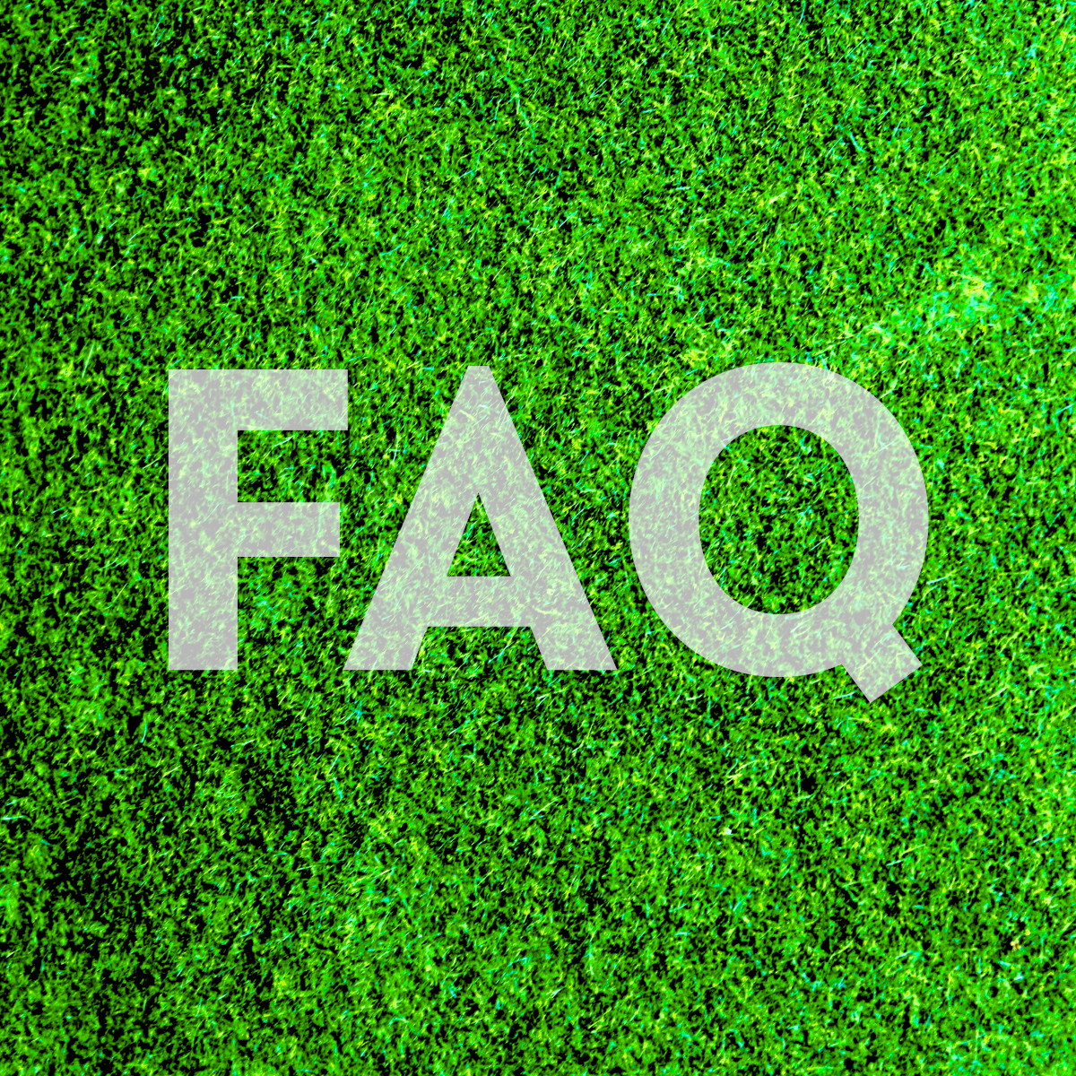 FAQ Text auf Rasen