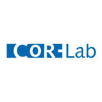 CoR-Lab Research Institute for Cognition and Robotics