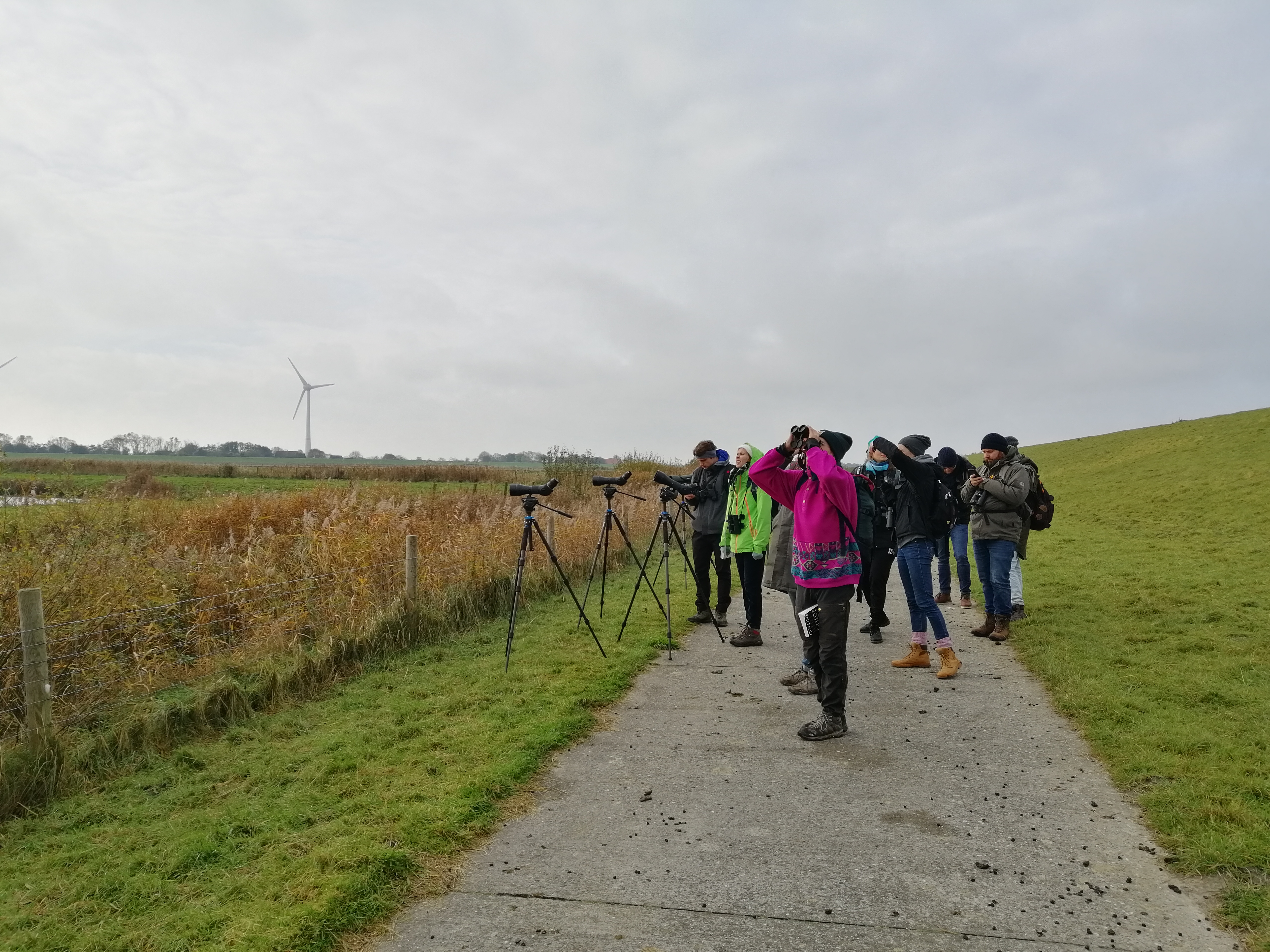 Student on the wadden sea excursion
