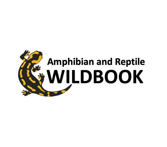 Amphibian and reptile wildbook