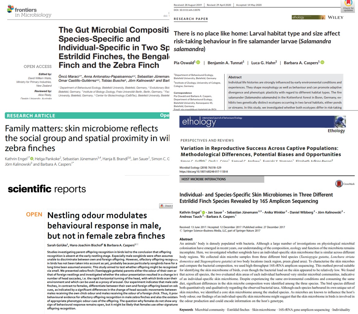 Publications from the Behavioural Ecology department