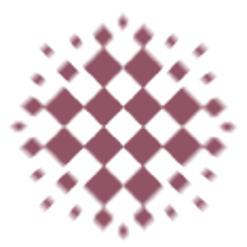 CTN Logo