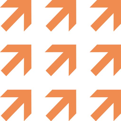 Graphische Element: 9 orangen Pfeile