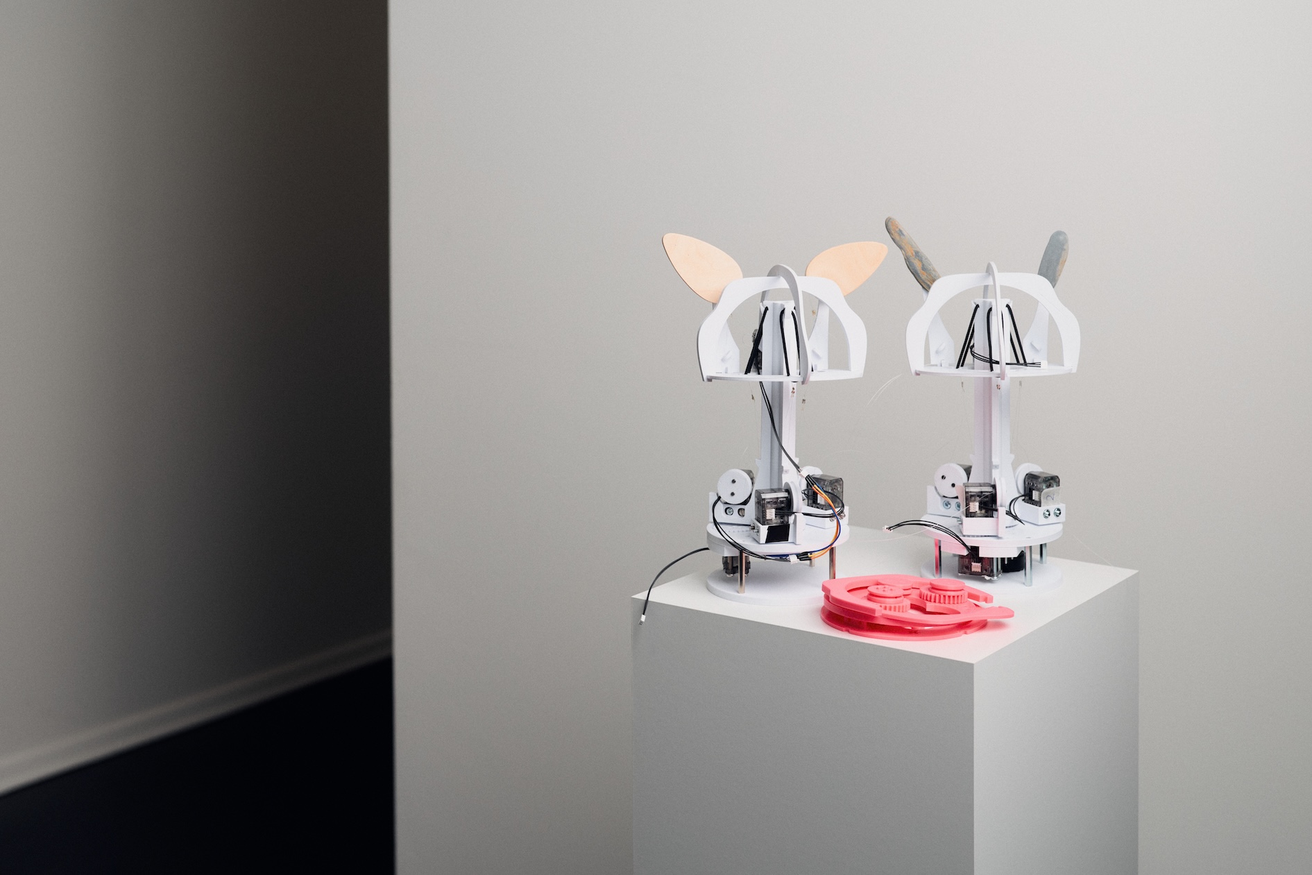 Zwei Exemplare von Blossom ohne Hülle