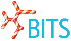 Logo vom BITS mit dem Schriftzug: BITS
