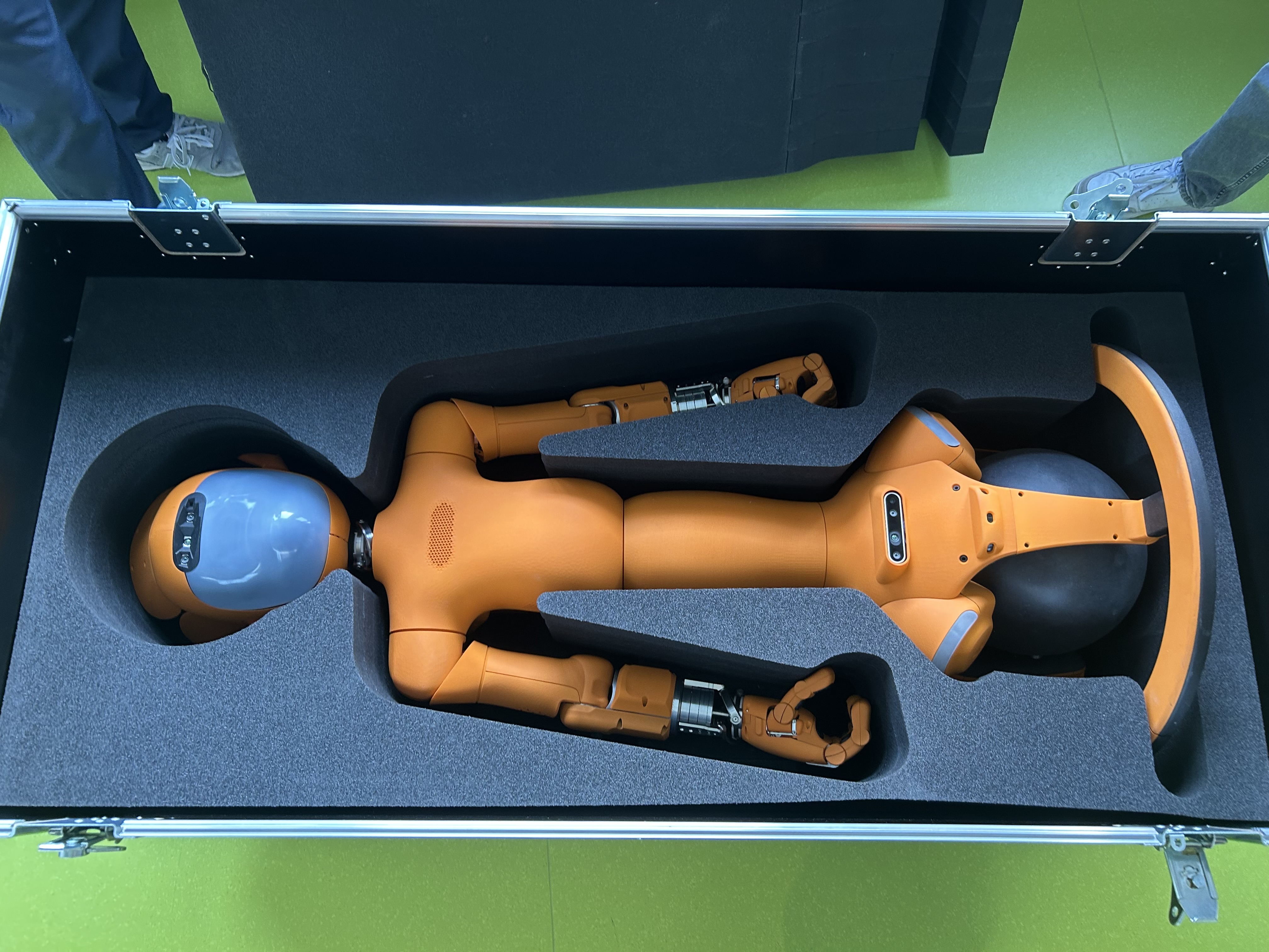 Miroka am schlafen in einer Box