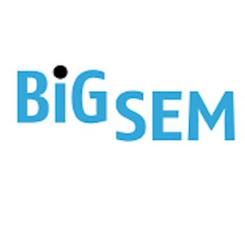 BiGSEM Logo