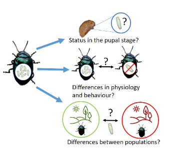 Graphic representation of sublethal insecticide-exposure