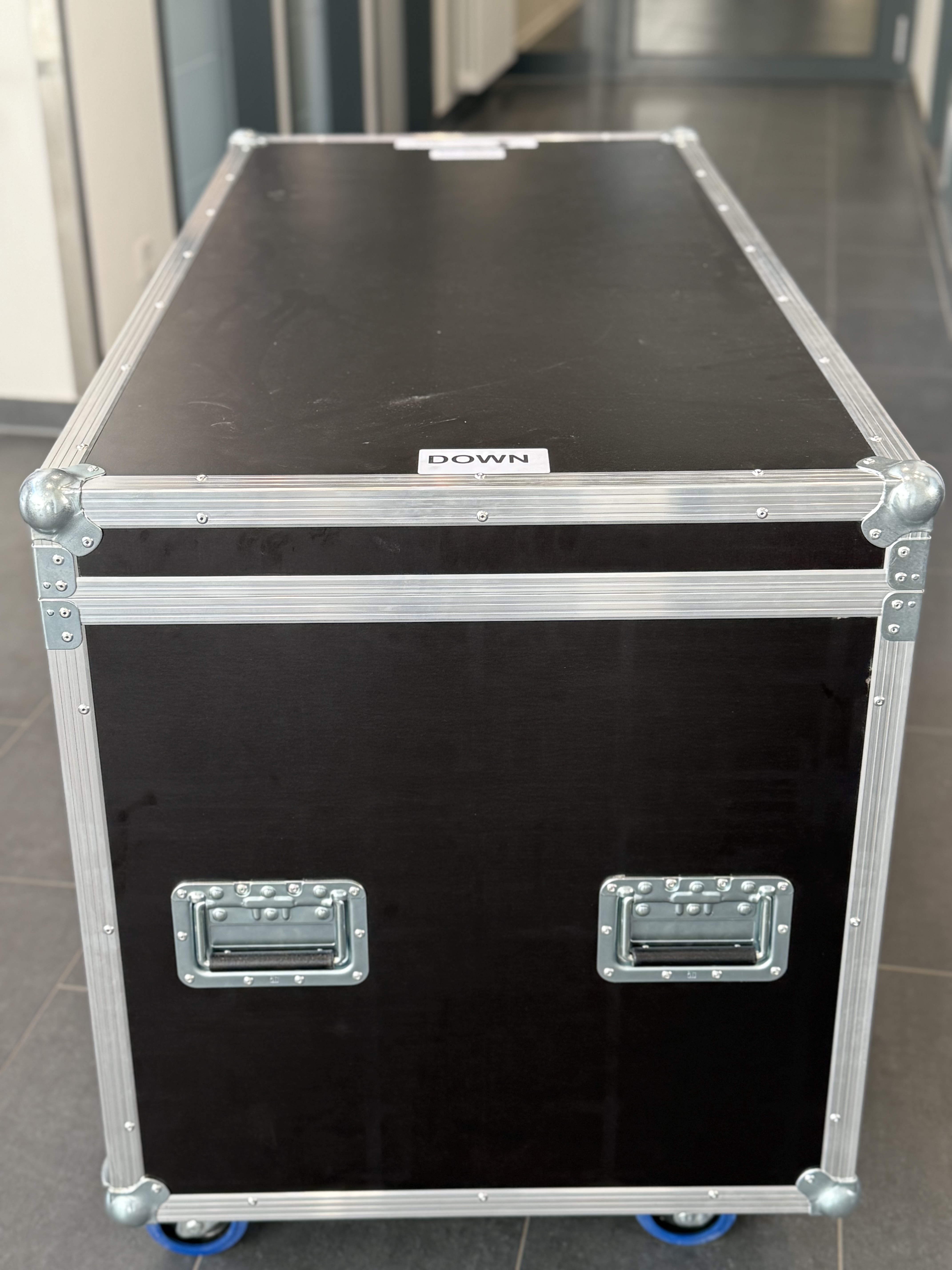 Miroka während des Transports in einer Box