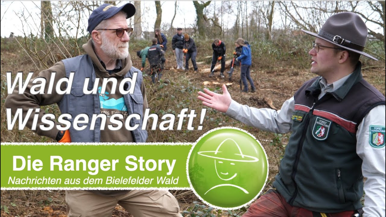 Standbild Video