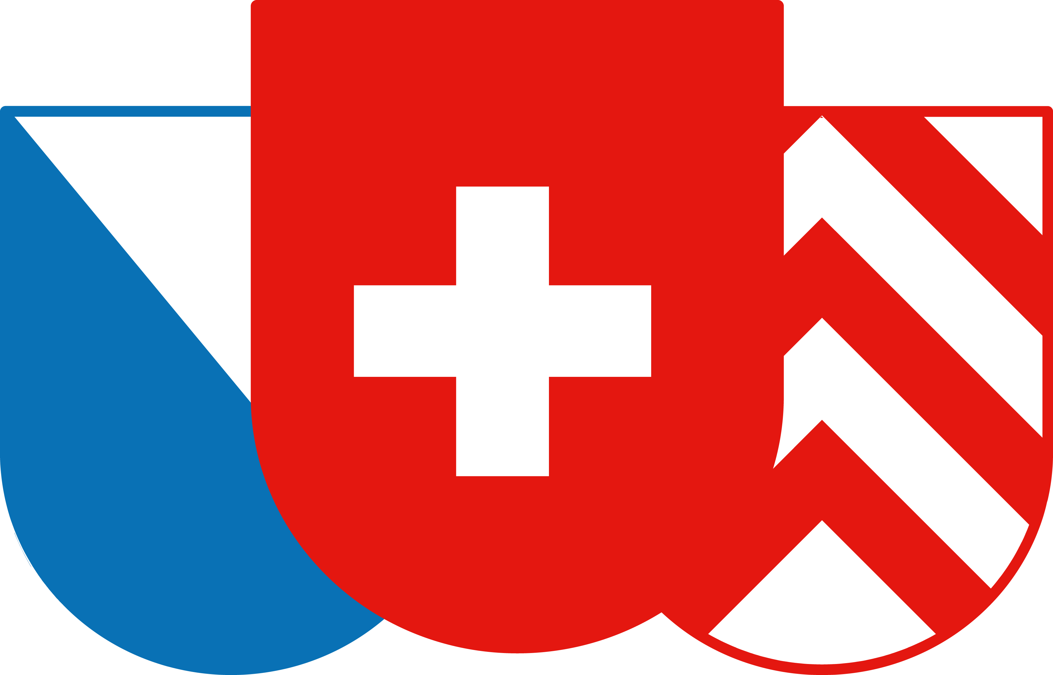 Schweizer Verfassungsrecht Logo