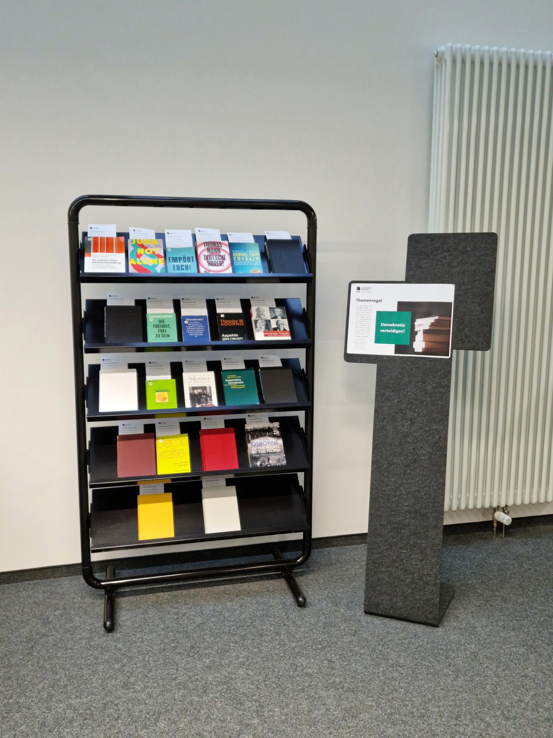 Themenregal Demokratie verteidigen