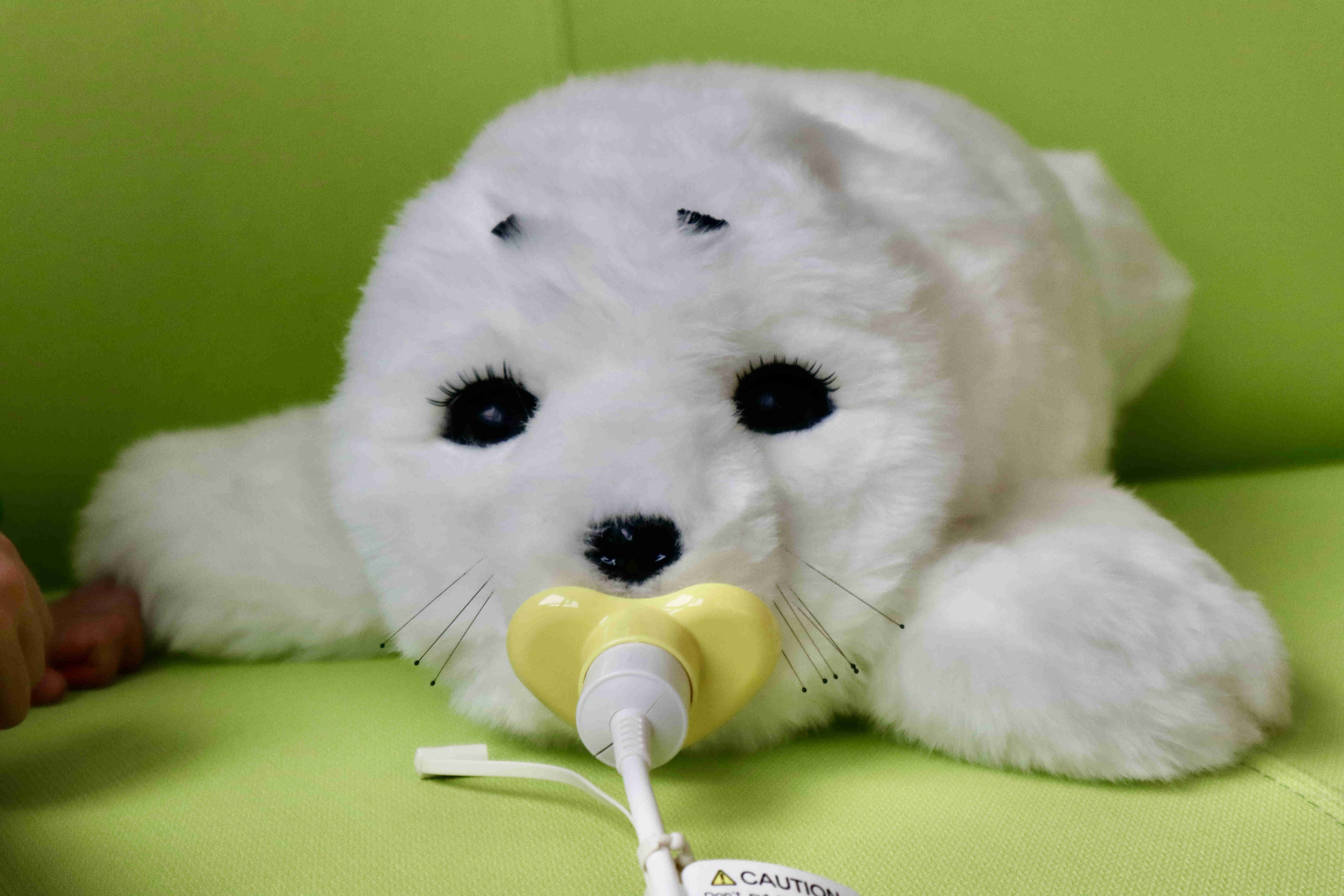 Paro with yellow charging pacifier