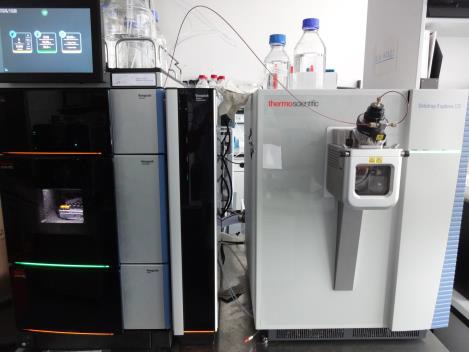 LC-ESI-Orbitrap-MS/MS – Thermo UHPLC coupled to an Orbitrap Exploris 120