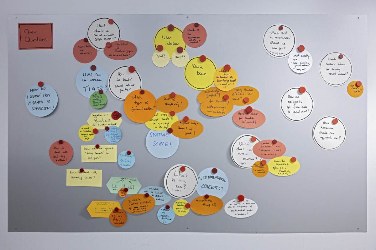 Photo during a workshop