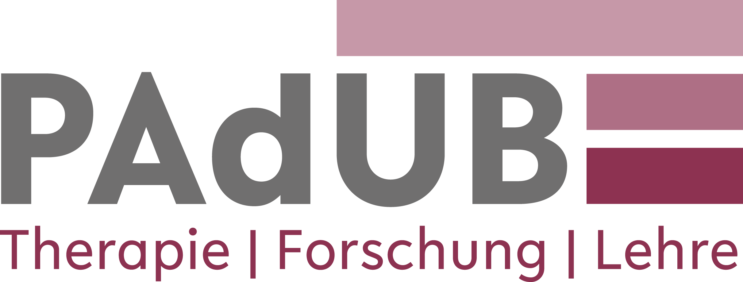 Logo von der PAdUB