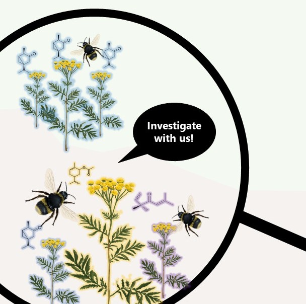 Picture Citizen Science Project