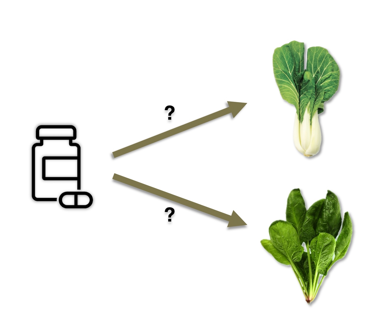 Graphic of interactions