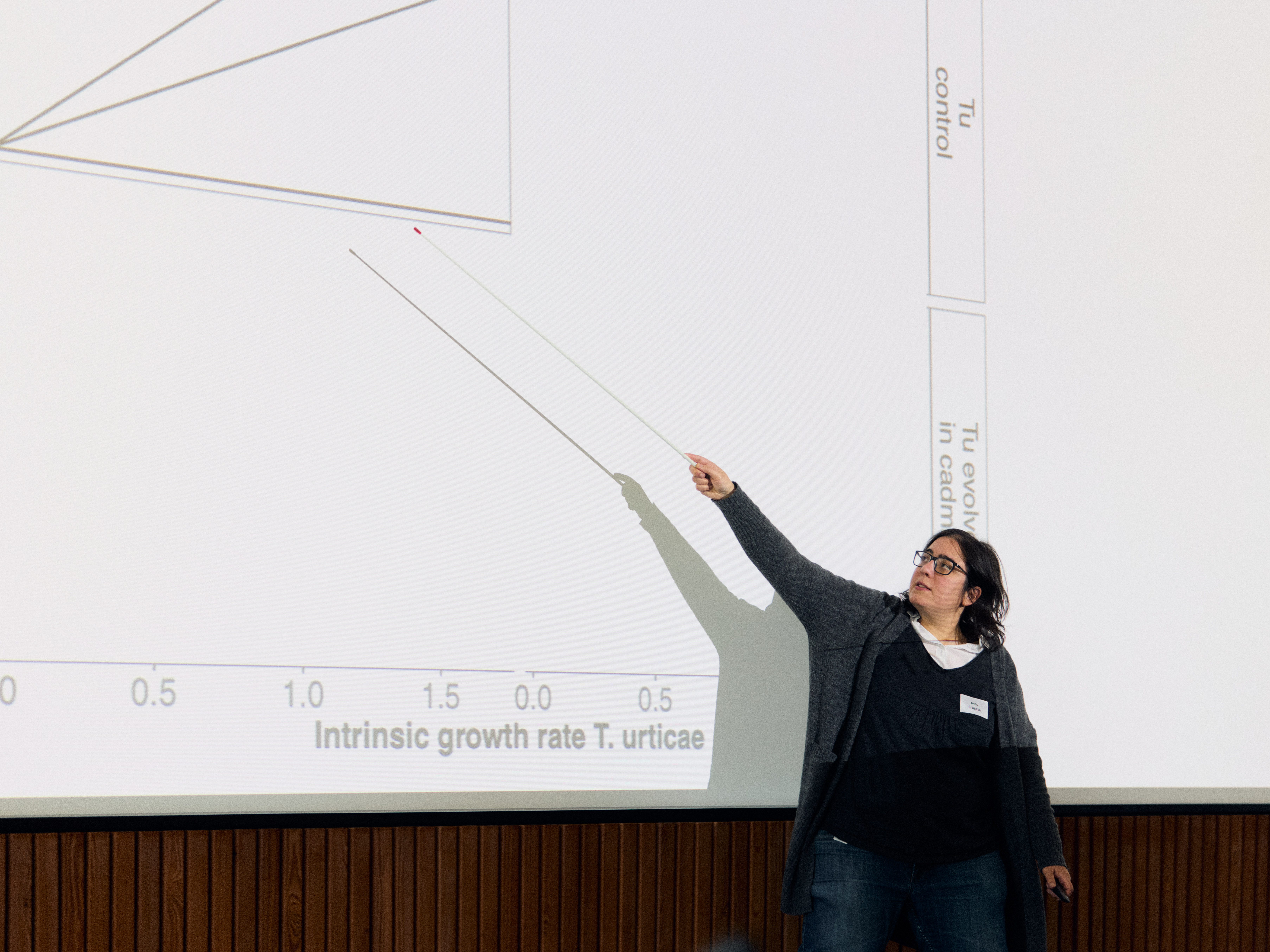 Dr. Fragata zeigt mit einem Stock etwas auf einem Diagramm in ihrer Präsentation. 
