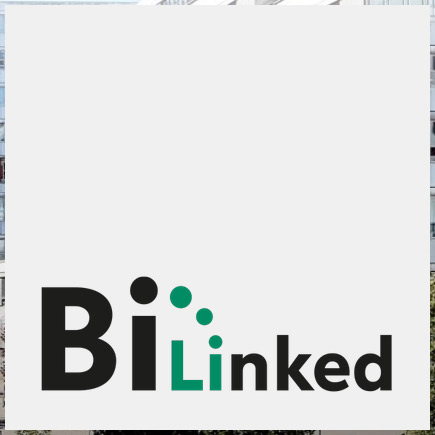 Schriftzug von BiLinked
