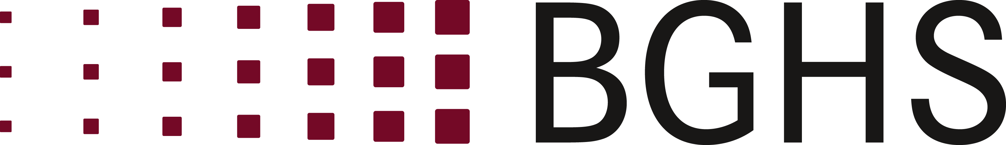 BGHS Logo