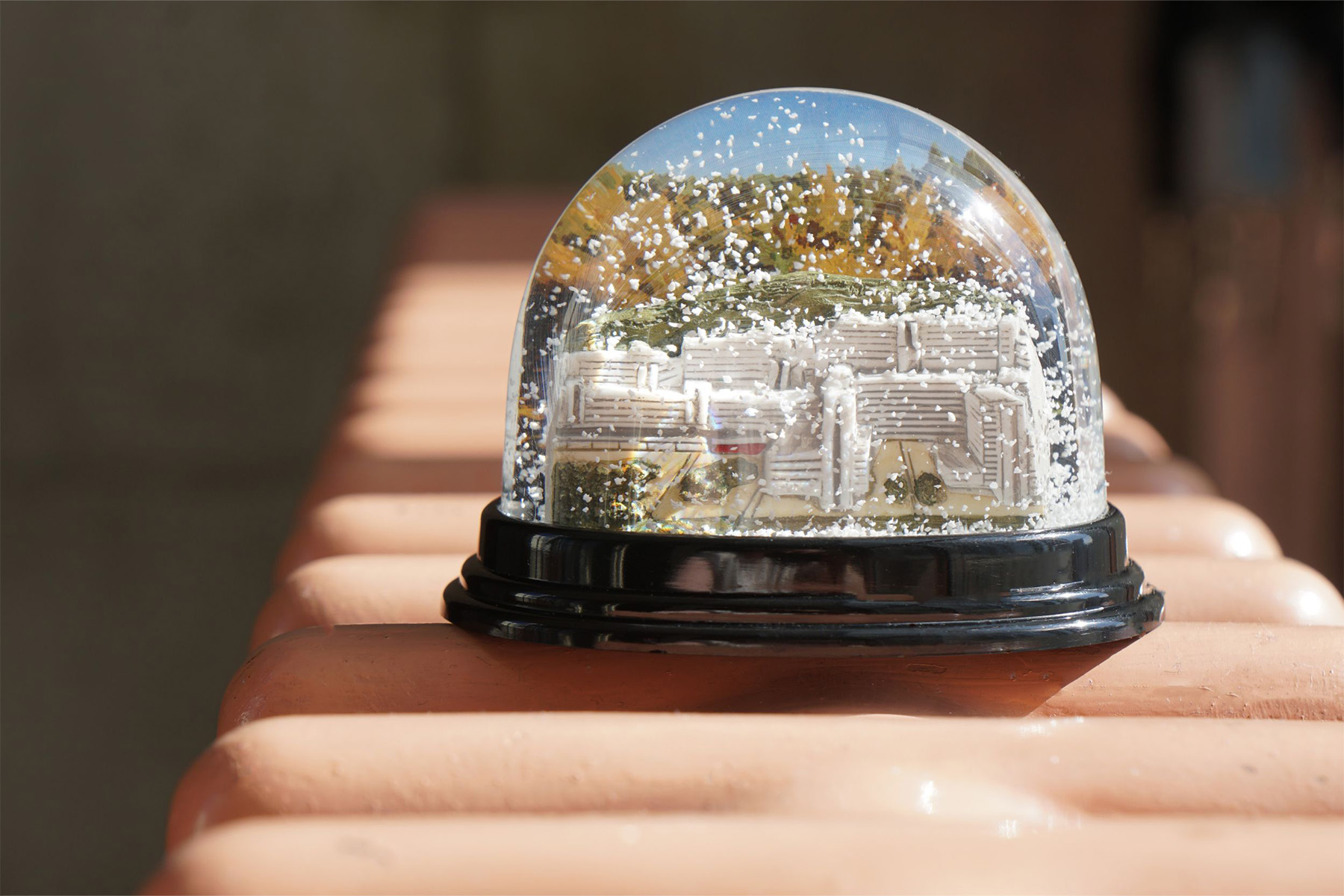 Snow globe