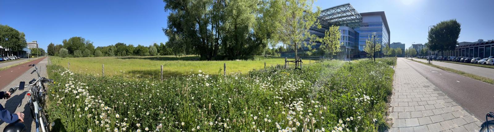 View over the campus with wild meadows and cycle paths