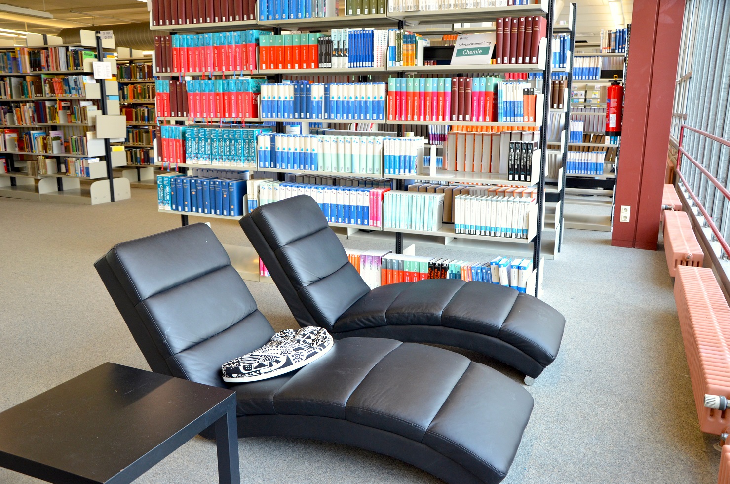 Liegen vor einem Bücherregal