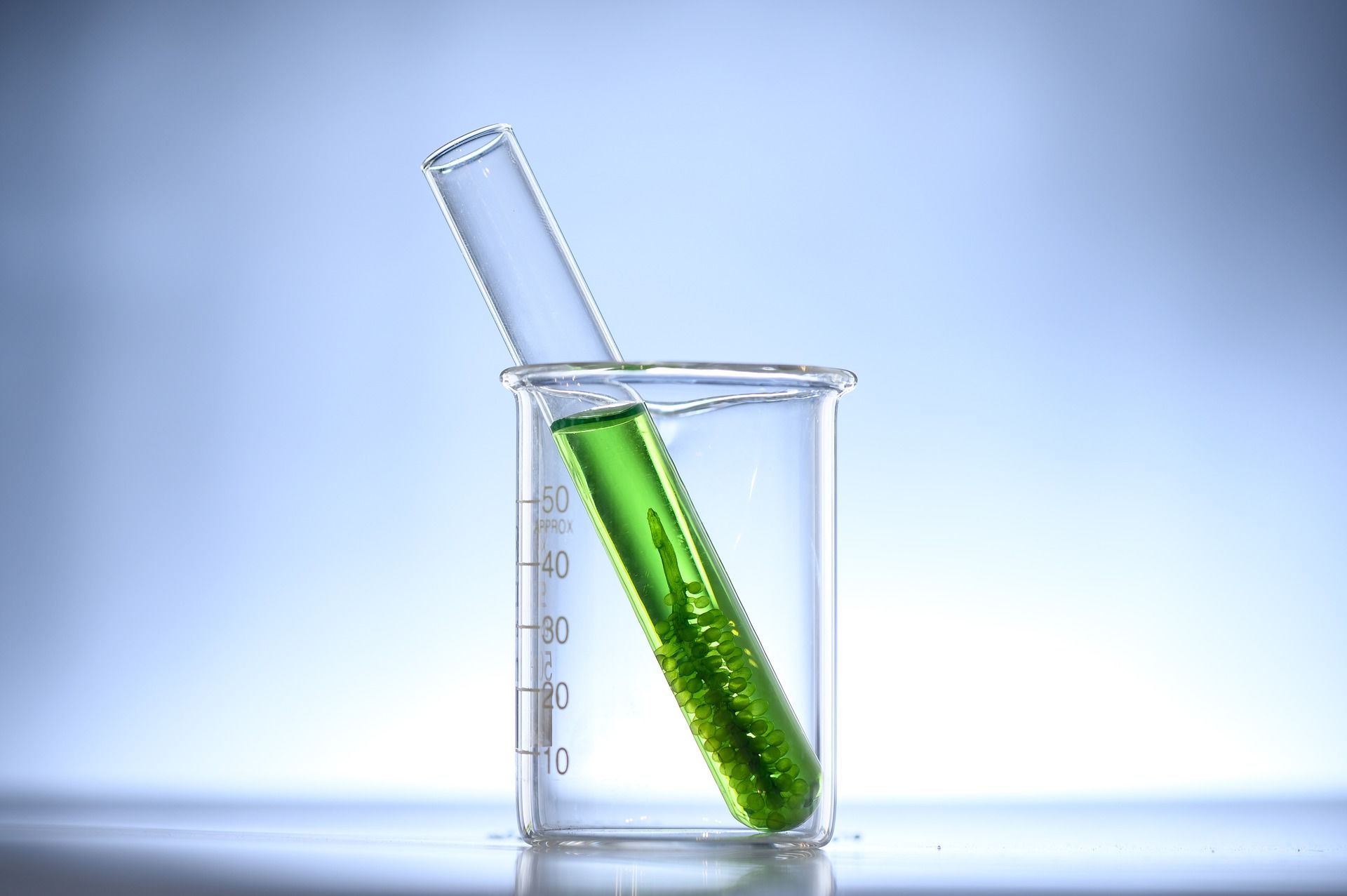 Glas