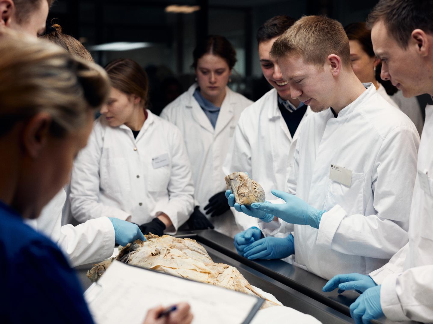 Auf dem Bild ist eine Gruppe von Studierende im Präparierkurs zusehen, die sich gemeinsam einen Knochen ansehen.