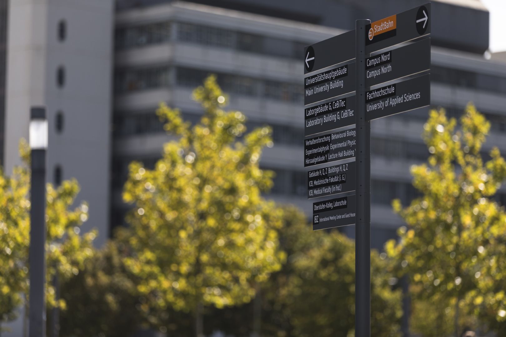 The university building, trees and a signpost in front of it