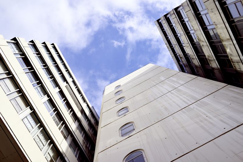 View from the frog's perspective on the main building of the university.