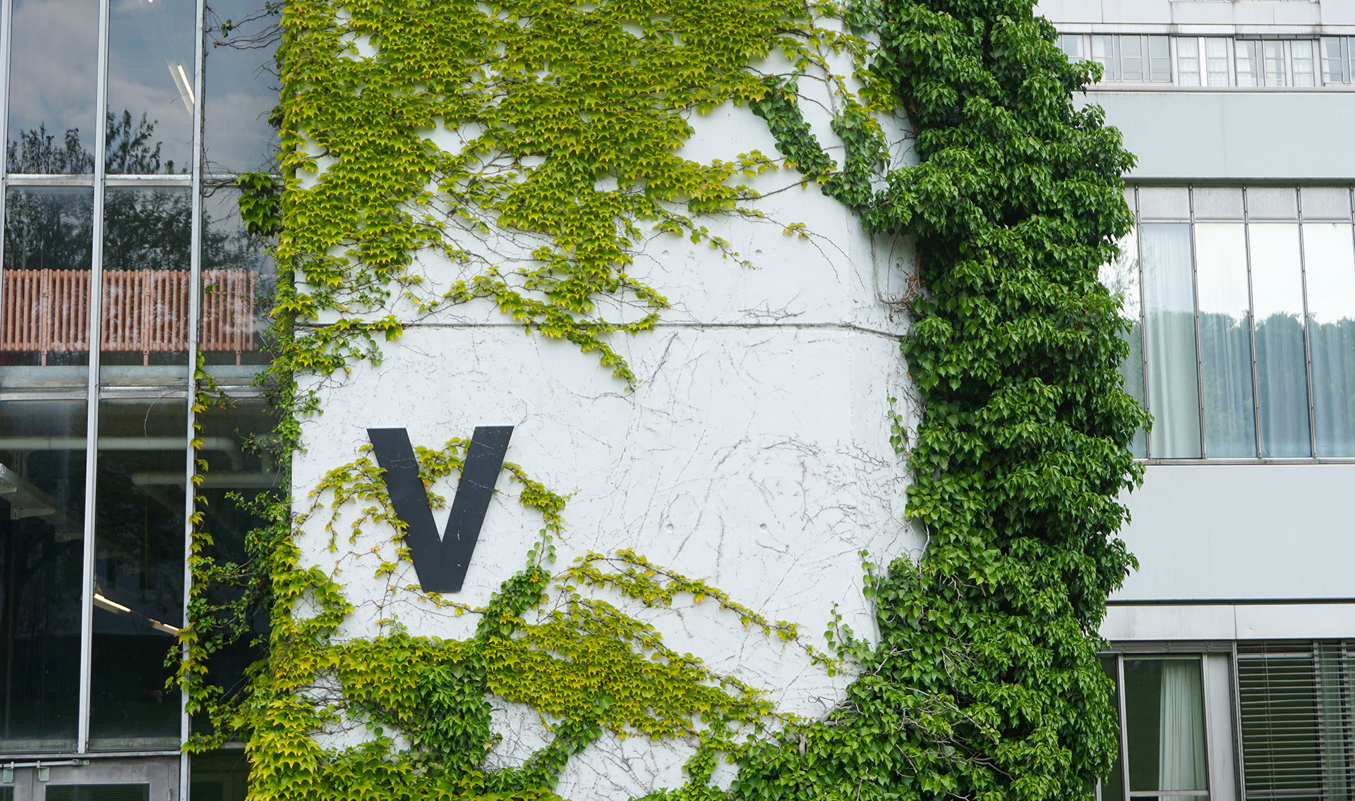 Letter V on overgrown university main building