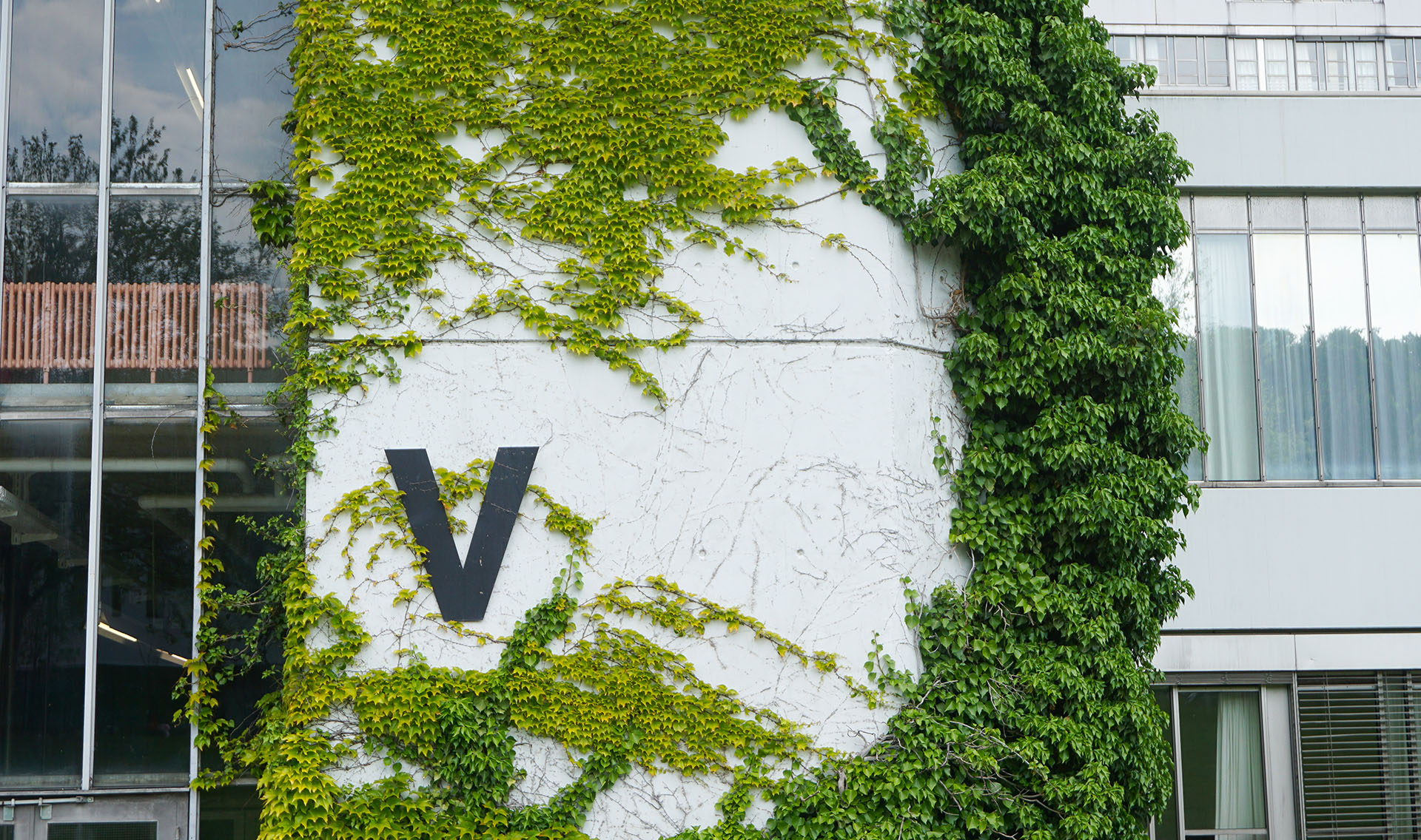 Buchstabe V am bewachsenen Universitätshauptgebäude