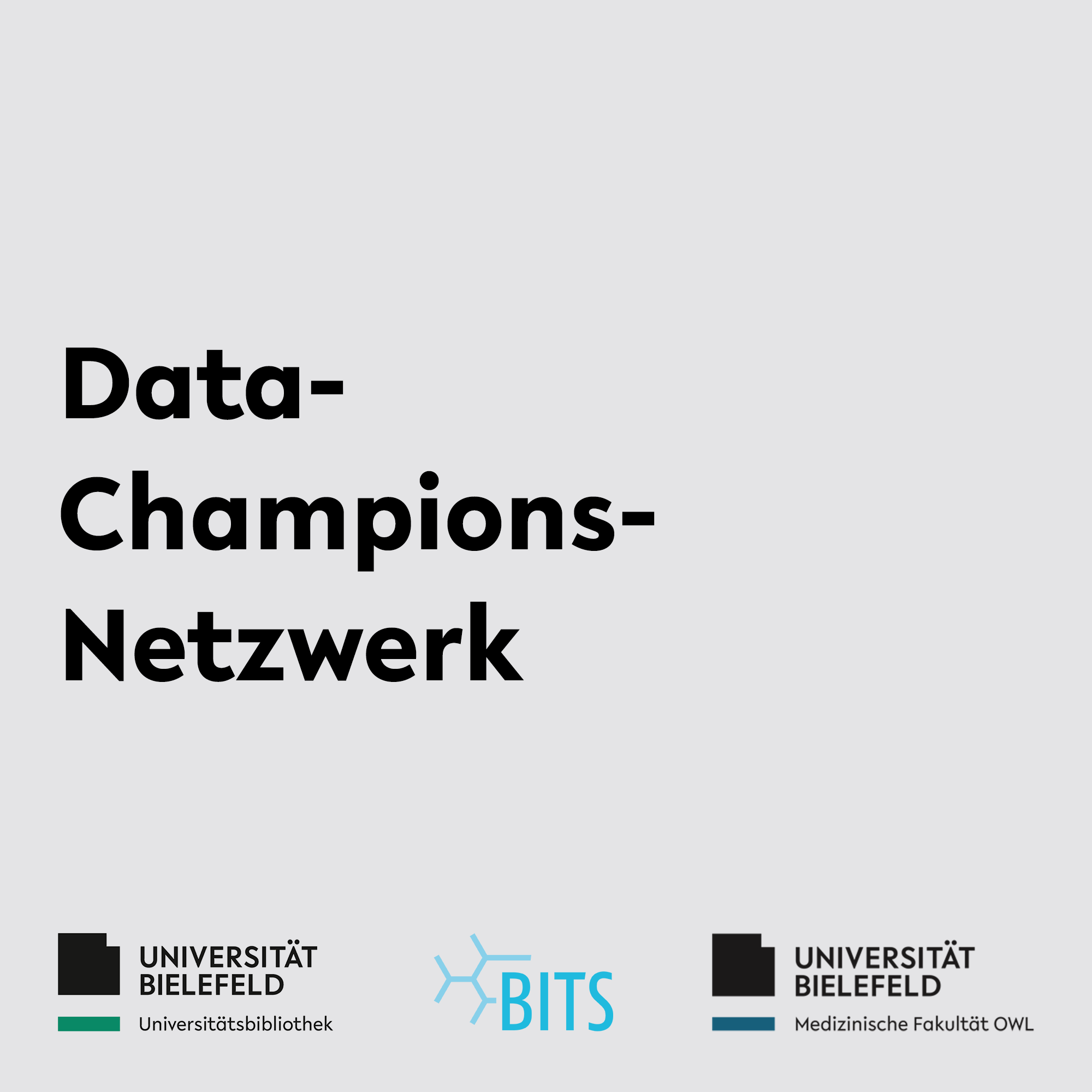 Logo Data-Champions-Netzwerk