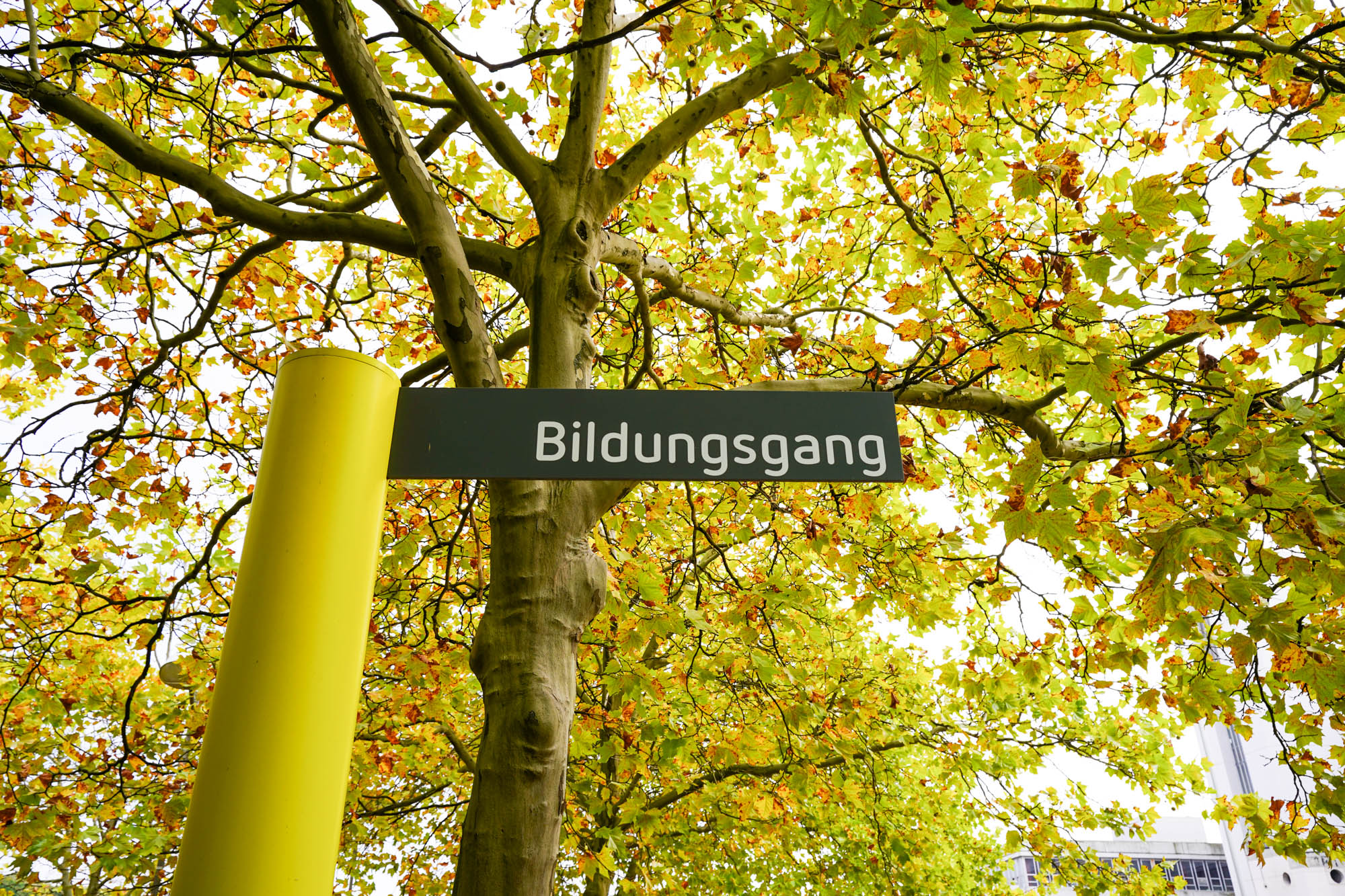 Schild Bildungsgang