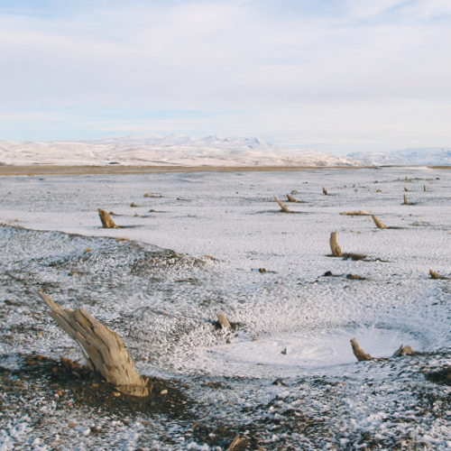 Graphic: stylized ice landscape, crater, tree remains, white, blue and light brown shades