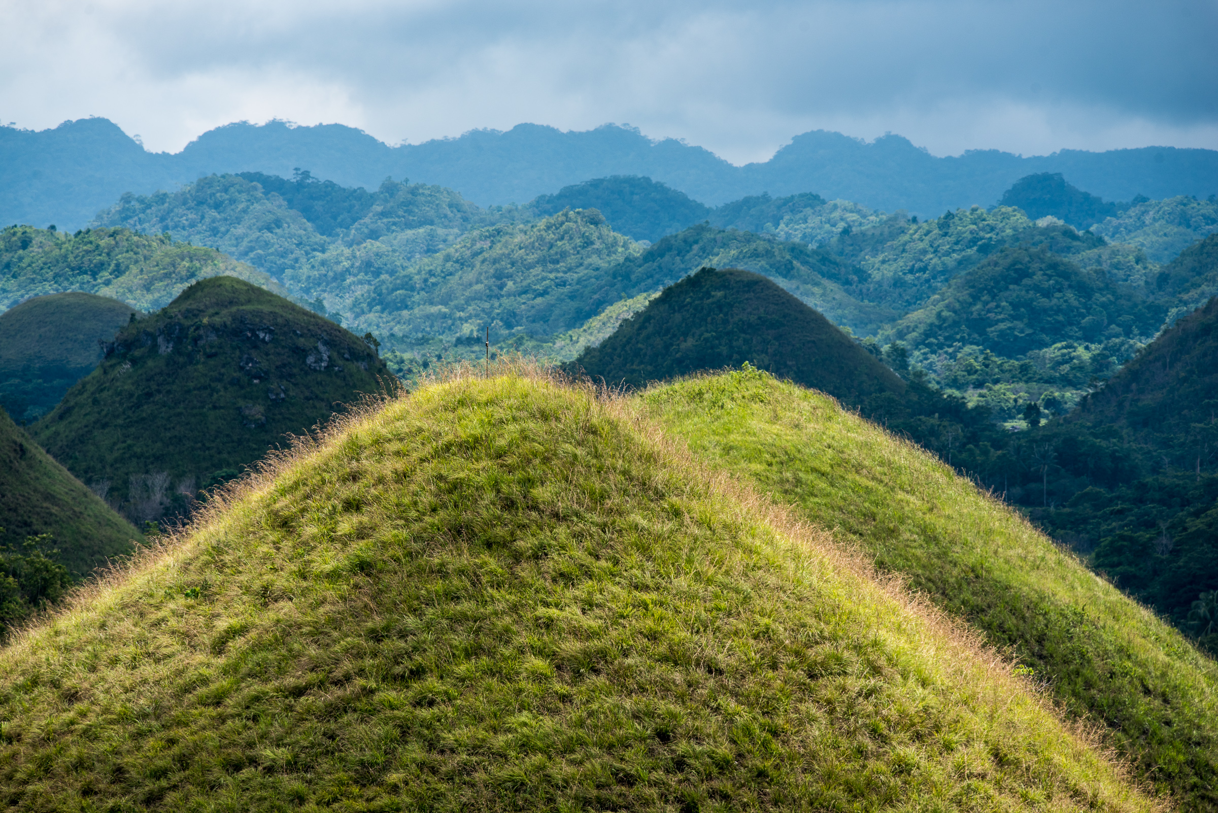 Chocolate Hills