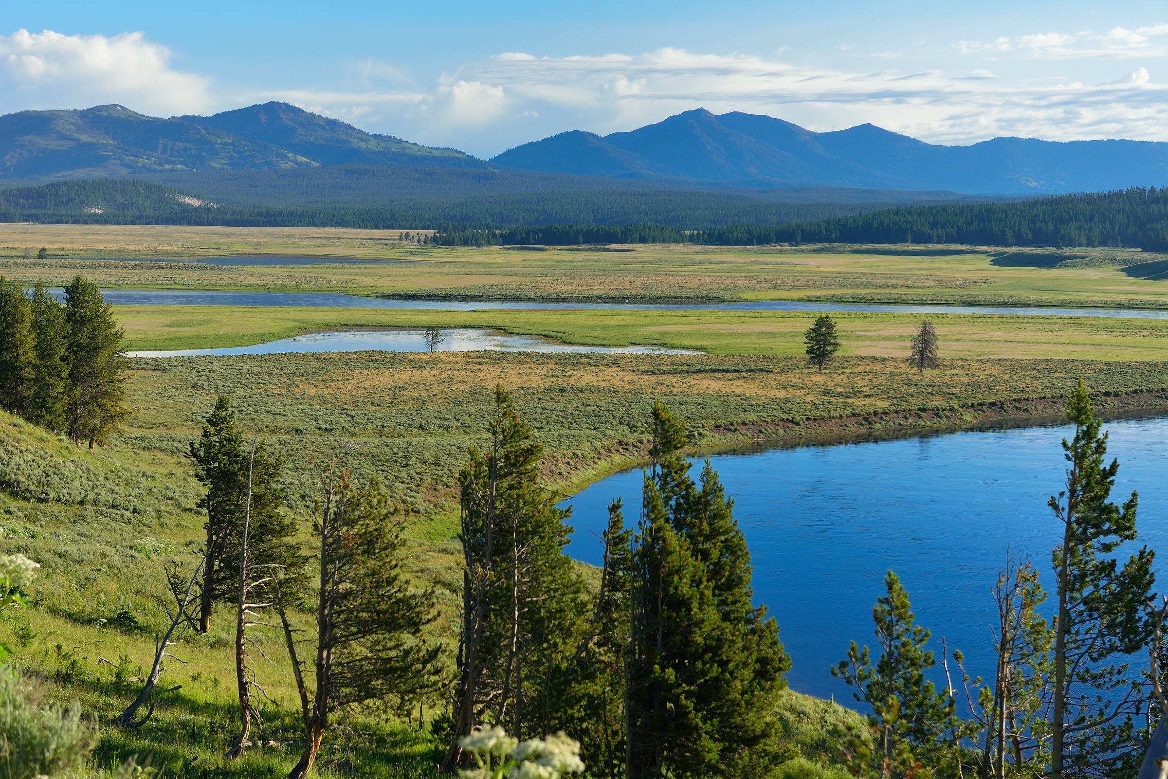 Yellowstone