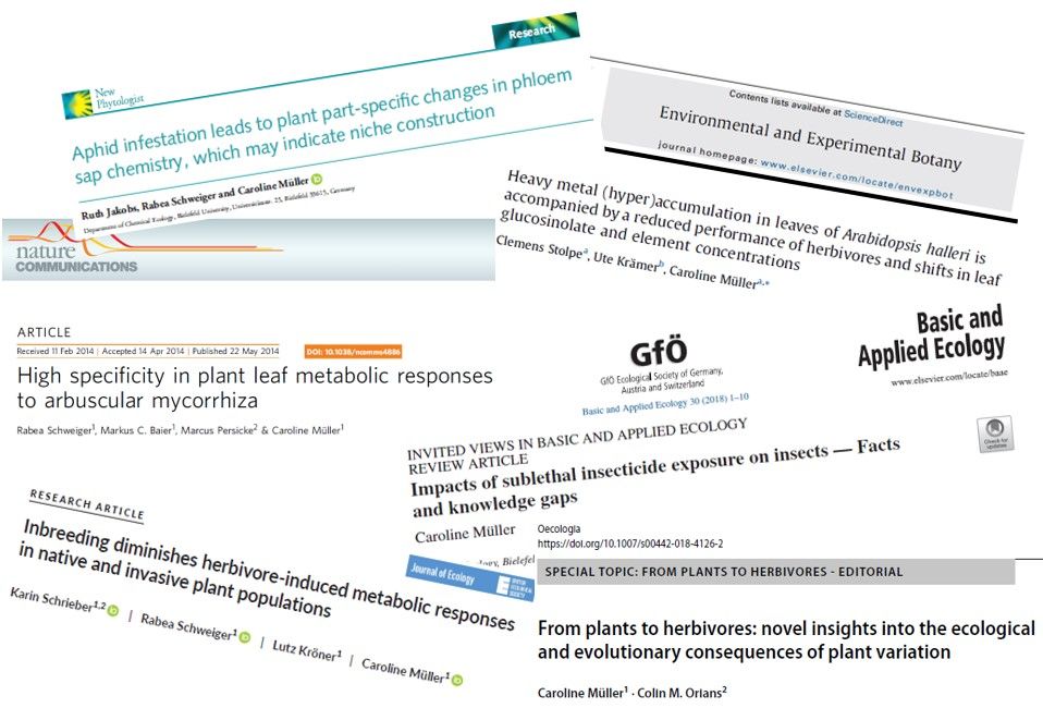 Titles of Publications