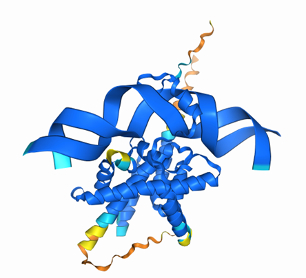 Protein structure alpha fold