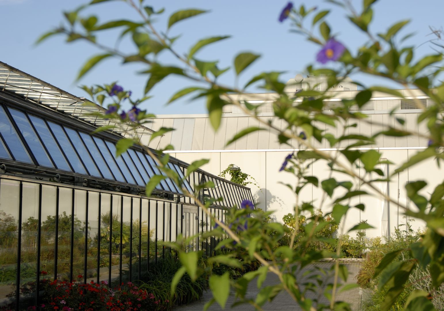 greenhouse at Uni Bielefeld