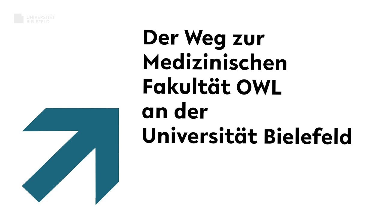 The path of the Medical School OWL