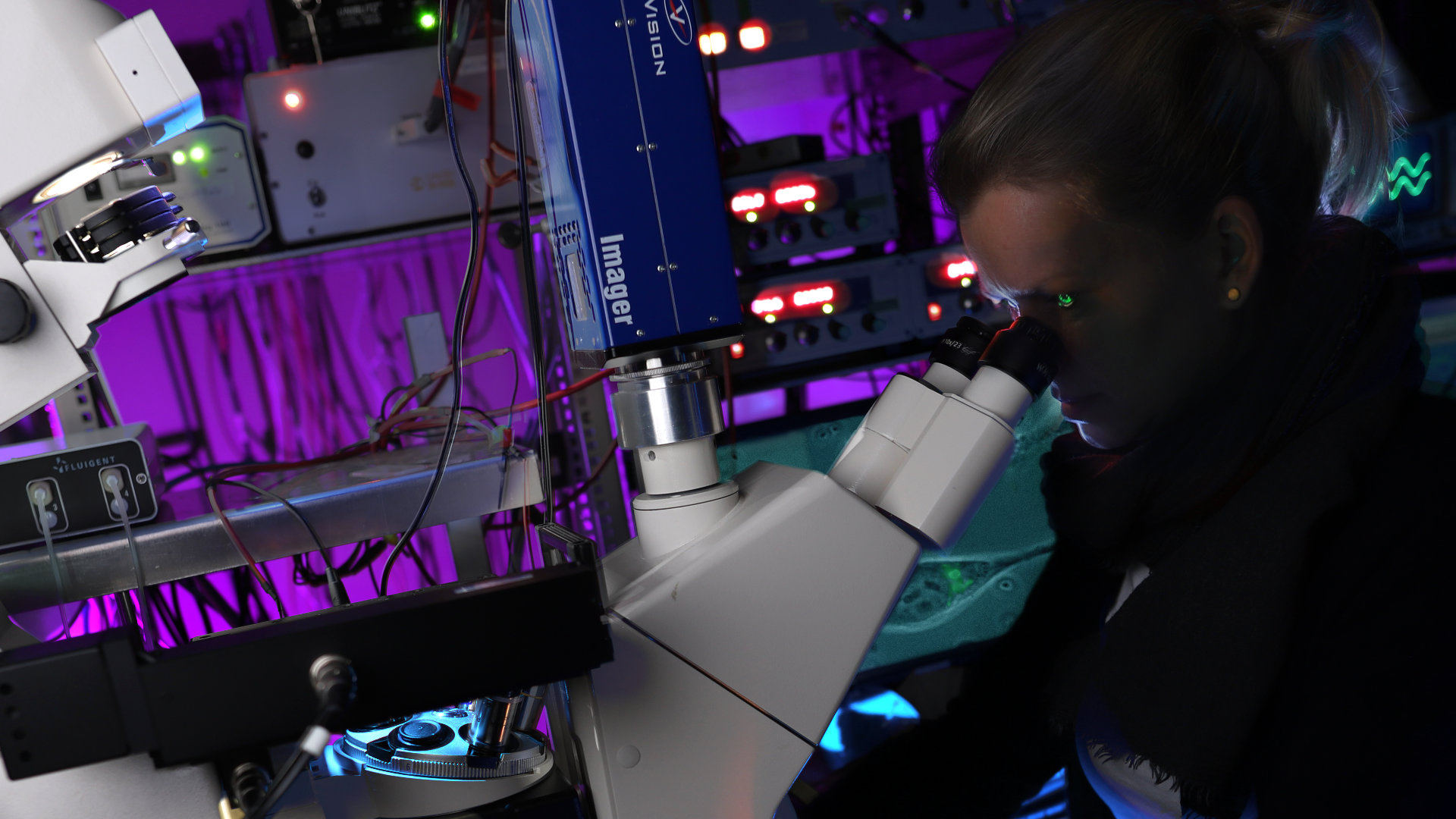 Microfluidic setup with fluorescence detection 