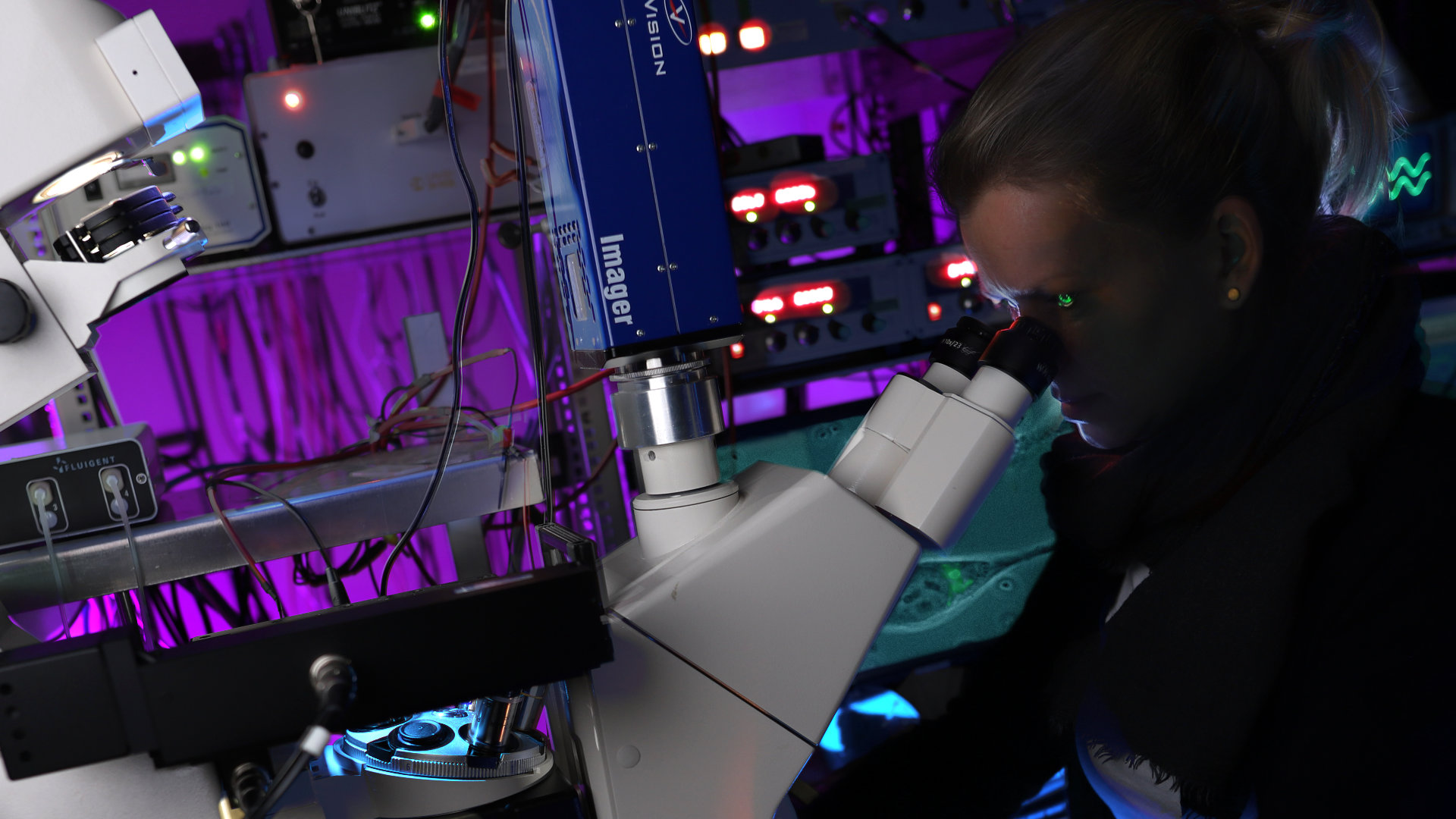 Microfluidic setup with fluorescence detection