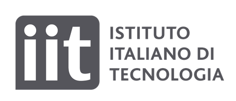 FONDAZIONE ISTITUTO ITALIANO DI TECNOLOGIA (IIT), IT