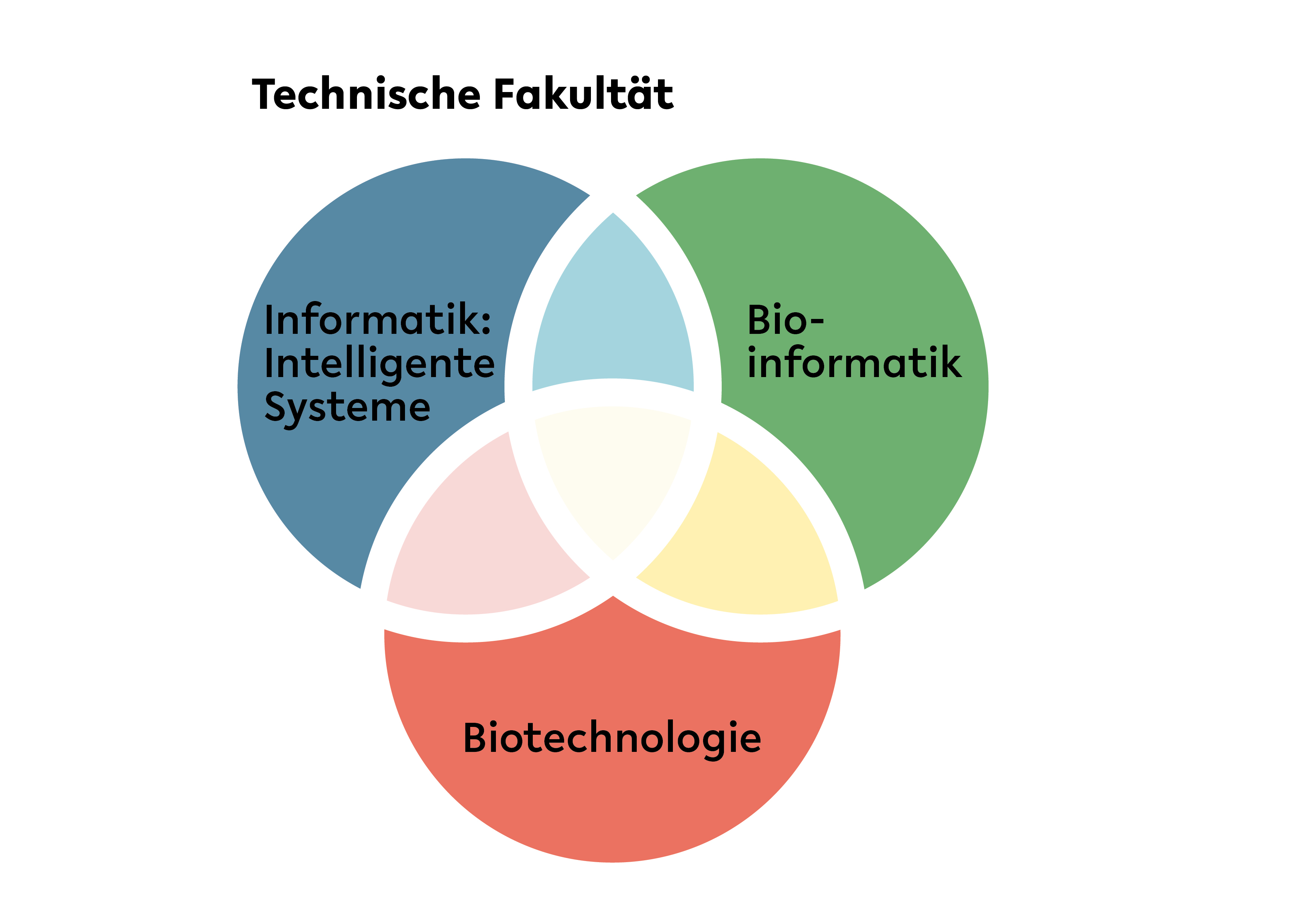 Eine Grafik, die die Forschungsbereiche der Technischen Fakultät zeigt: Intelligente Systeme, Bioinformatik und Biotechnologie
