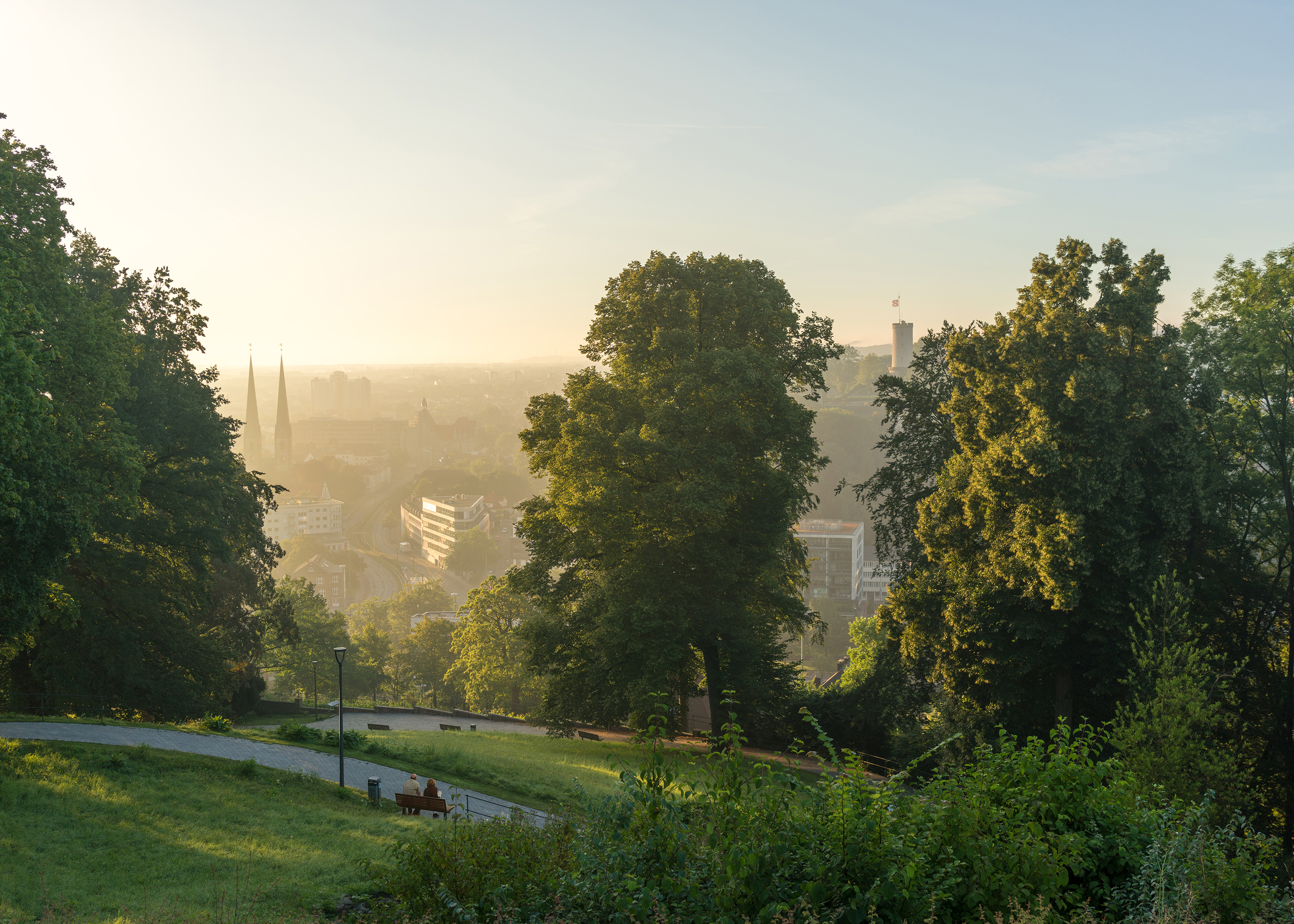 Landscape at sunrise with trees and a meadow