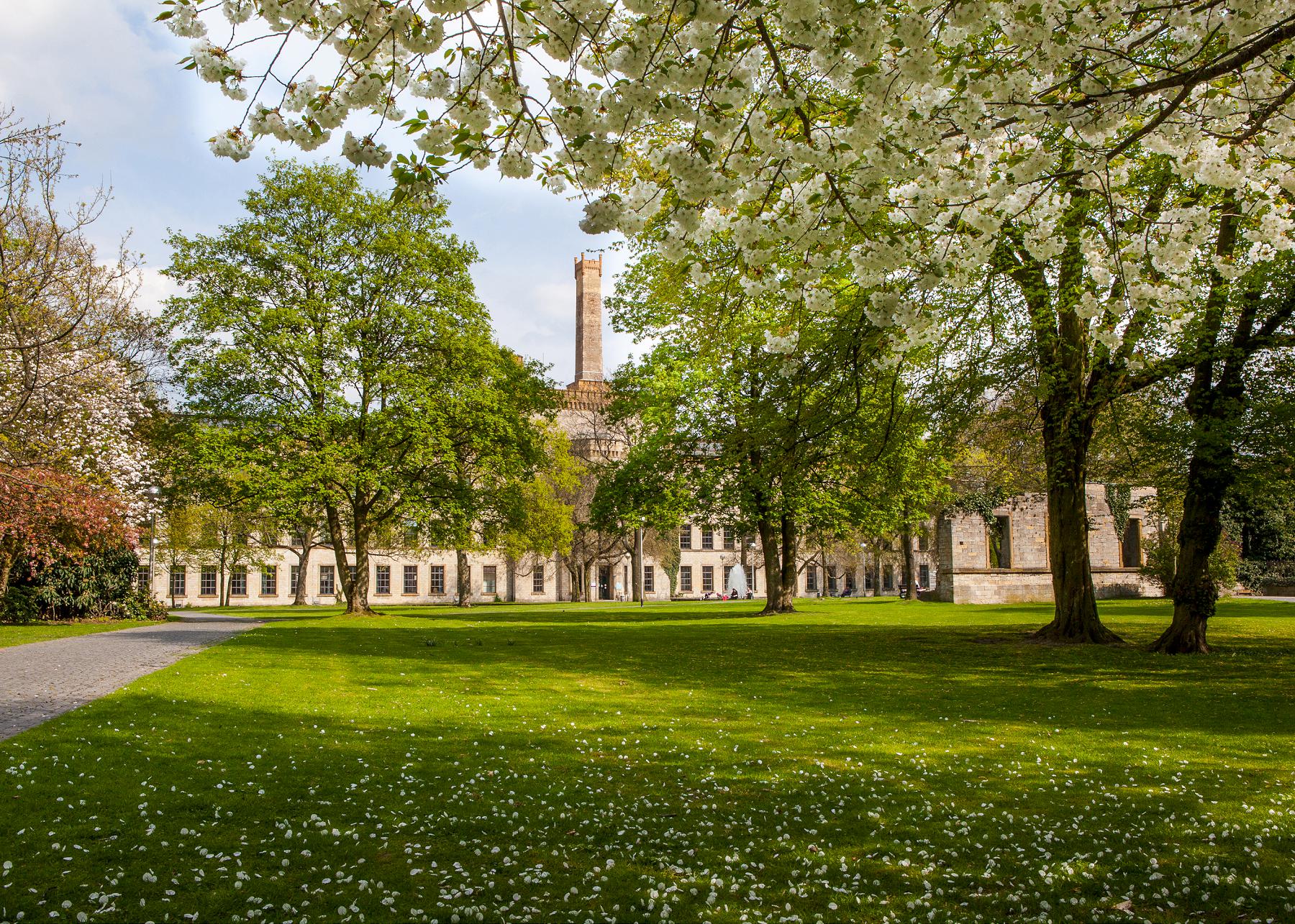 Blooming trees at Ravensberger Park