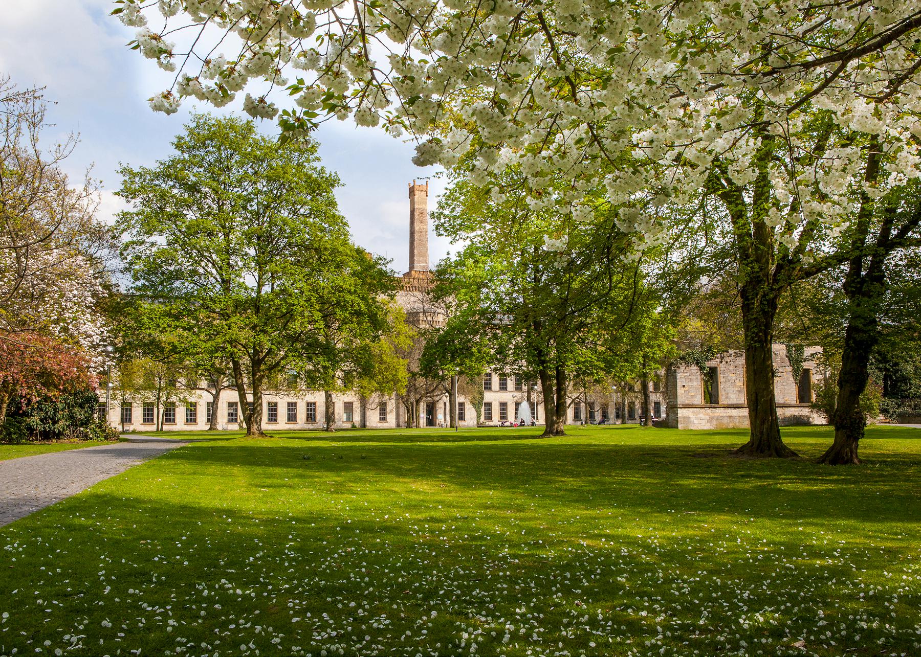 Blooming trees in the Ravensberger Park